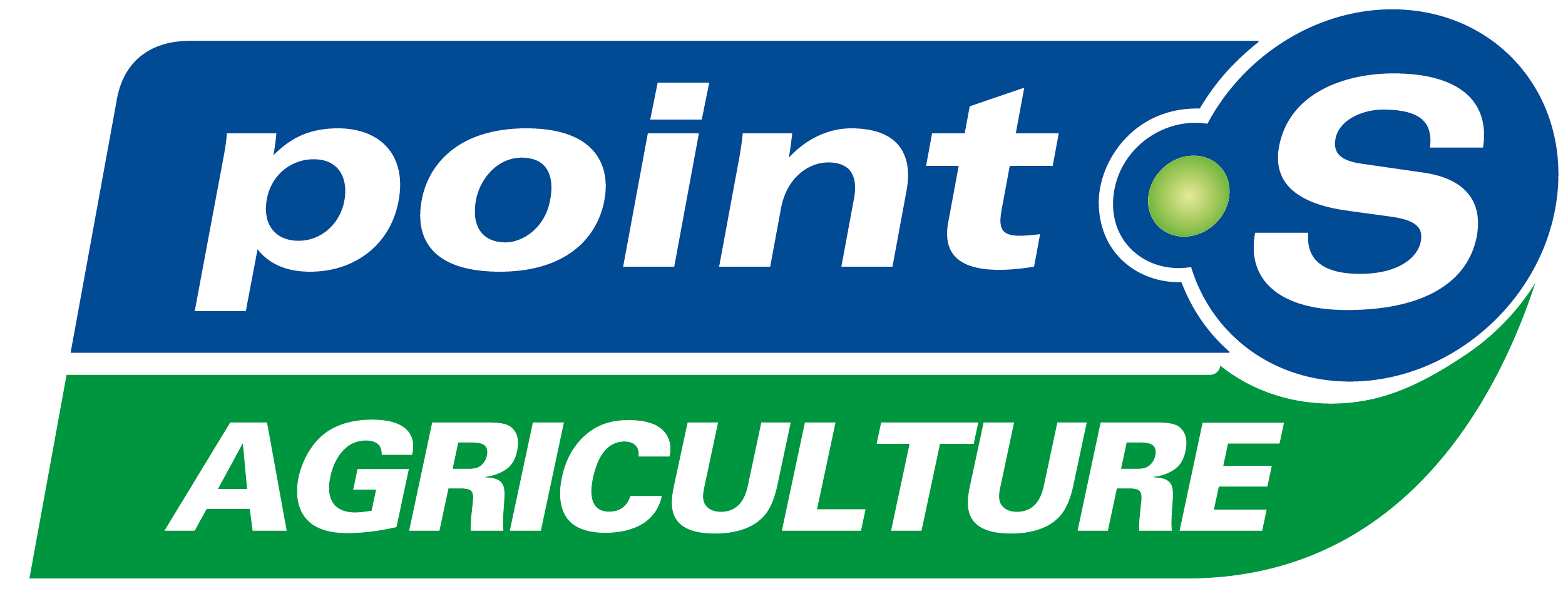 Logo Point S